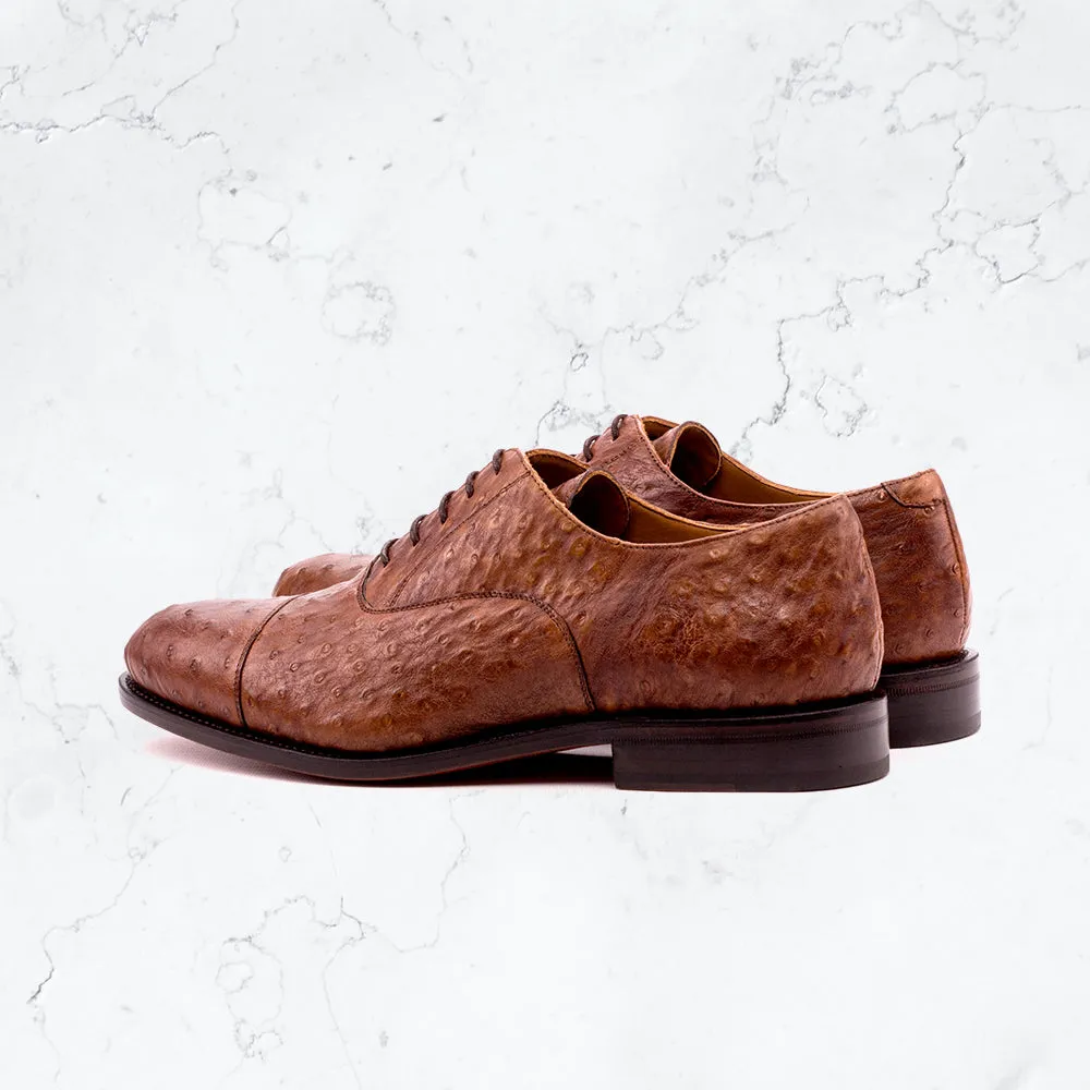Genuine Ostrich Oxford -  Dress I