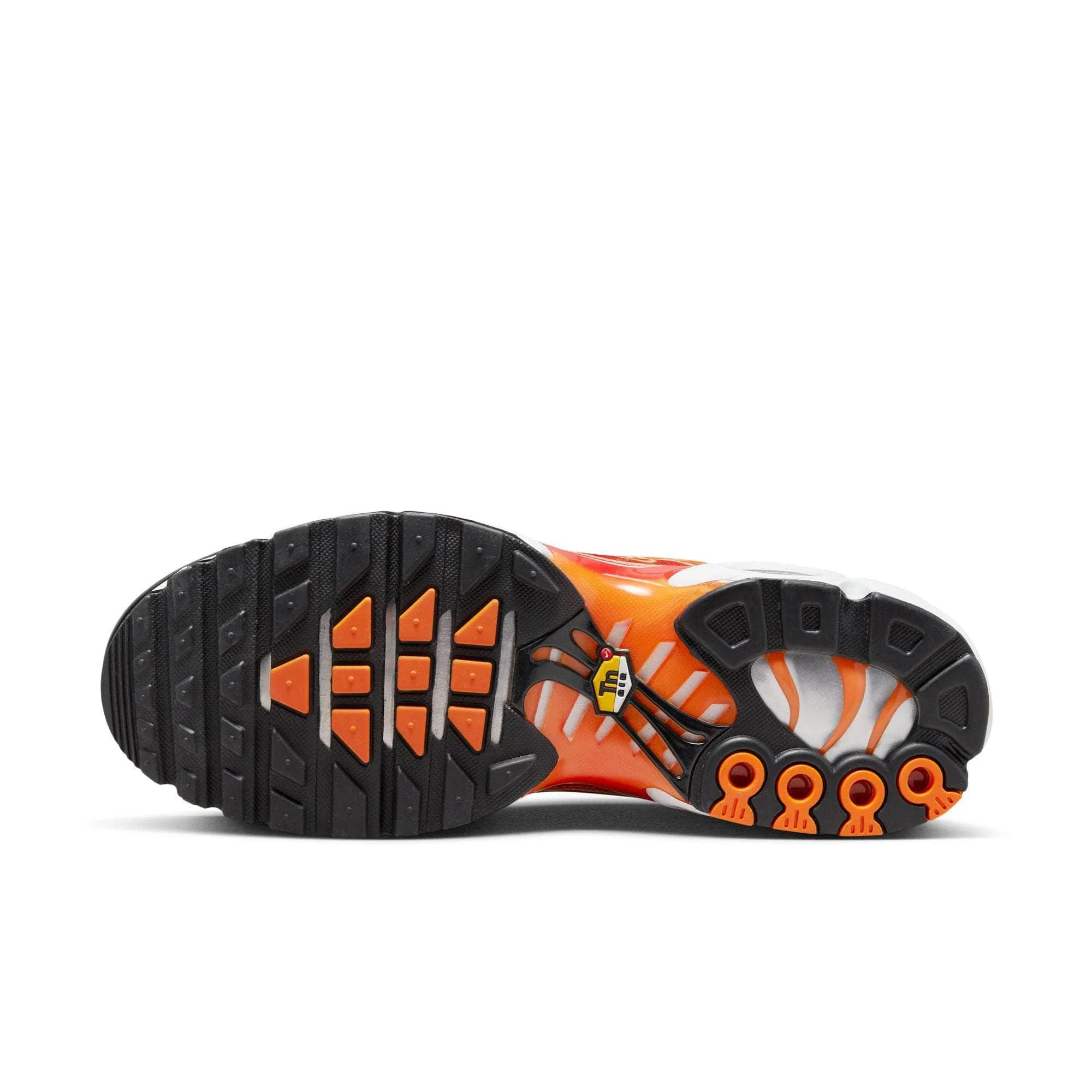 Nike Air Max Plus OG "Light Photography" - Men's