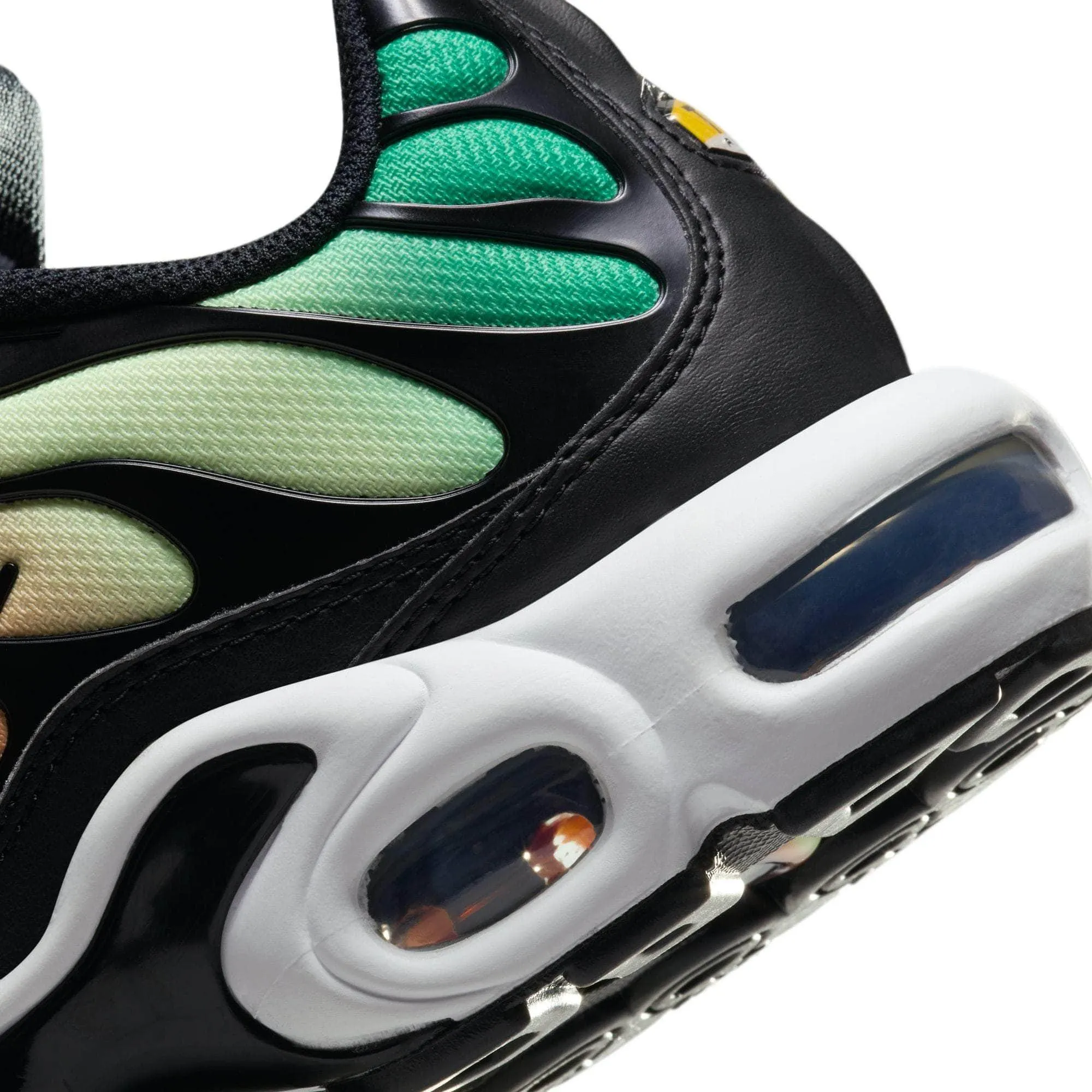 Nike Air Max Plus "Rainbow" - Women's