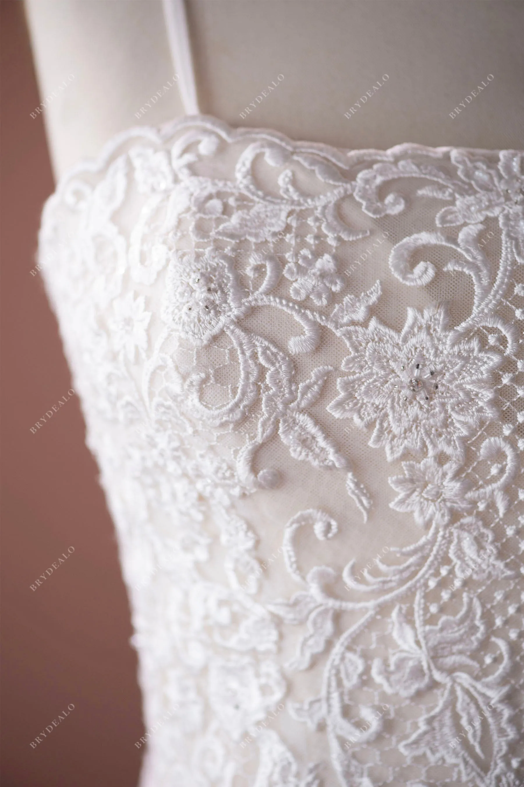 Plus Size Spaghetti Strap Stylish Lace A-line Champagne Bridal Dress