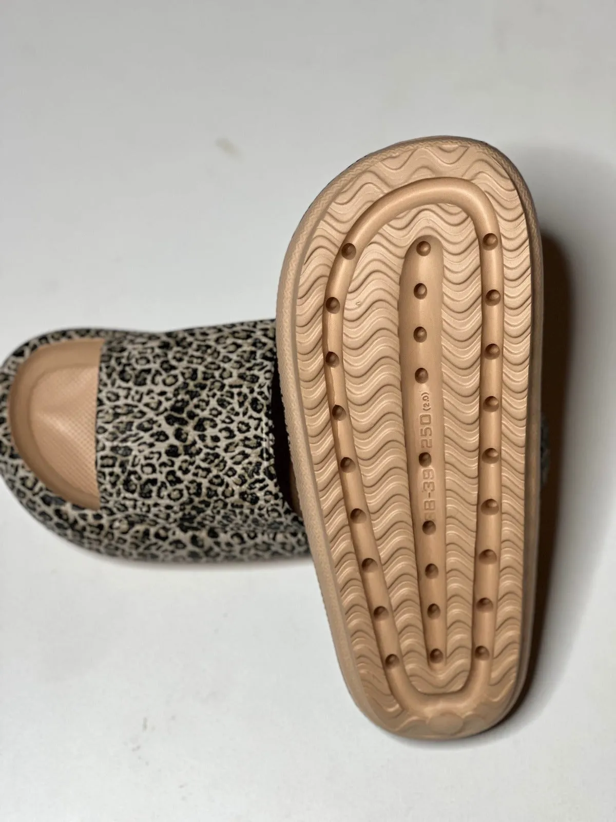 Walking On A Cloud Leopard Pillow Slide