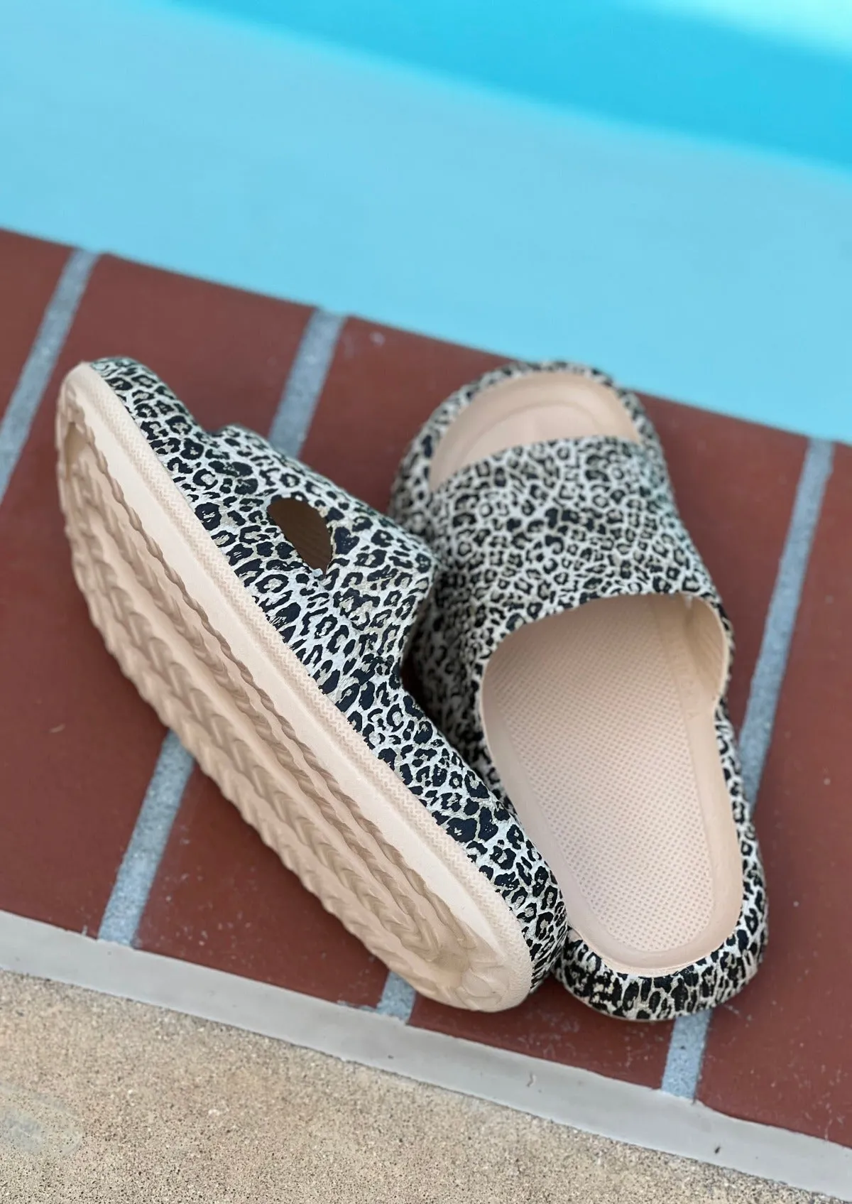 Walking On A Cloud Leopard Pillow Slide