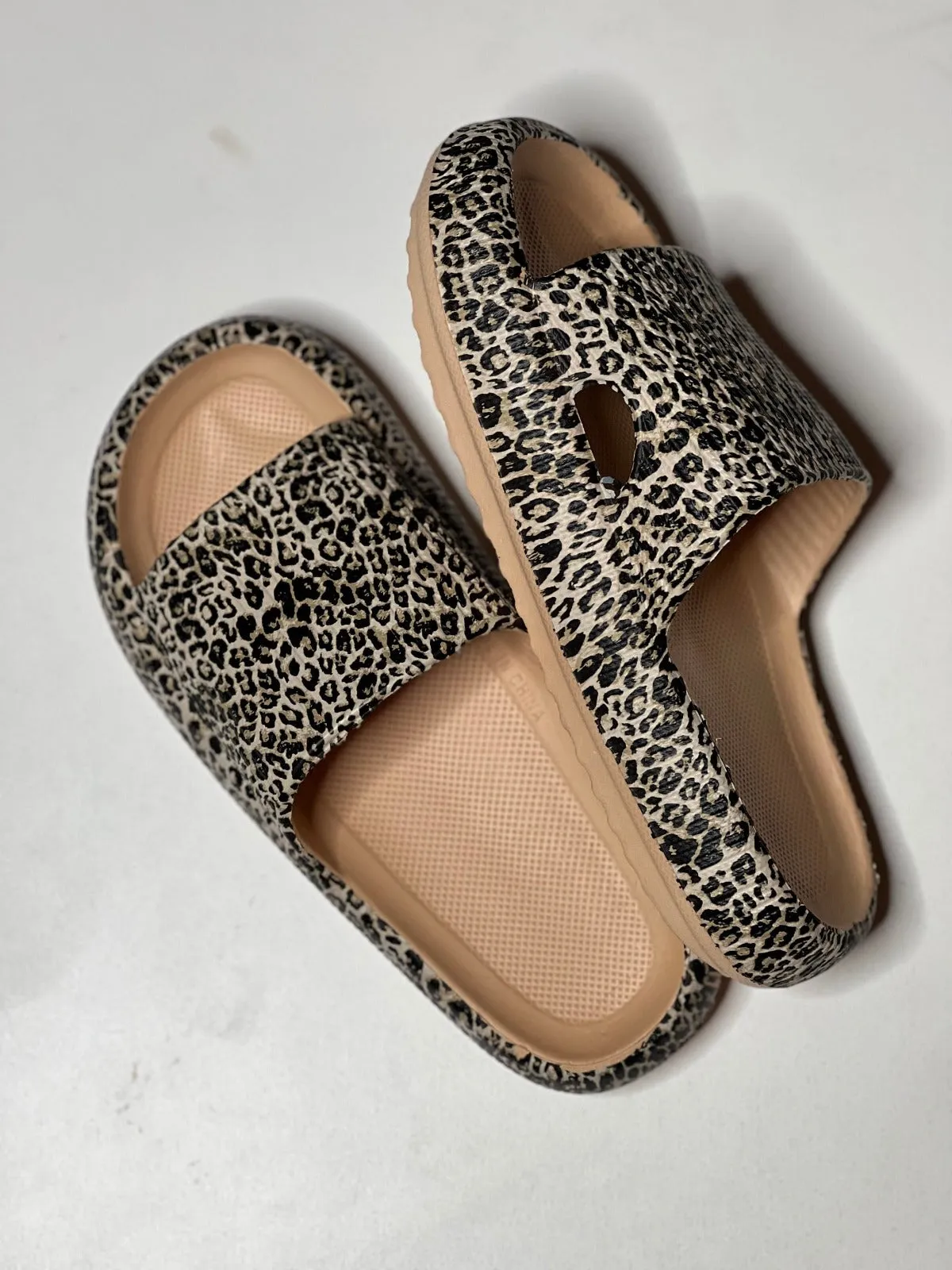 Walking On A Cloud Leopard Pillow Slide