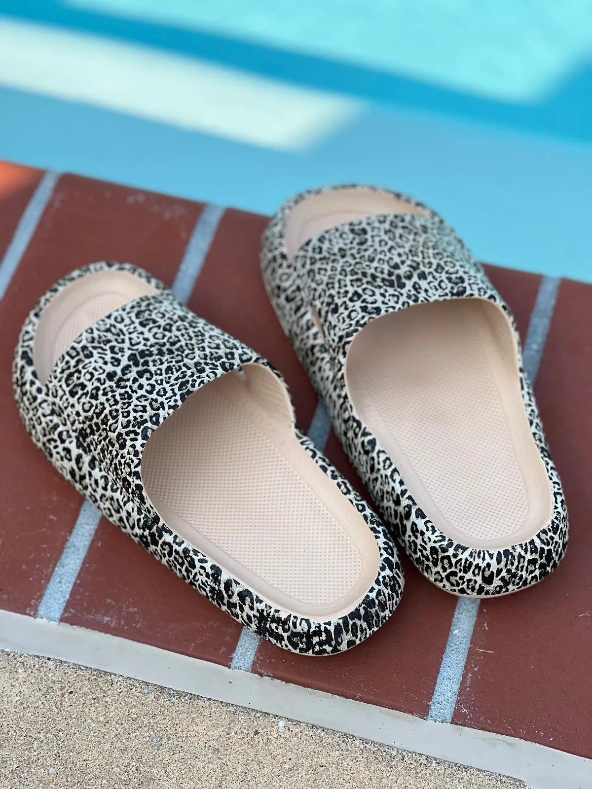 Walking On A Cloud Leopard Pillow Slide